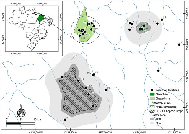 Image from article 2-1